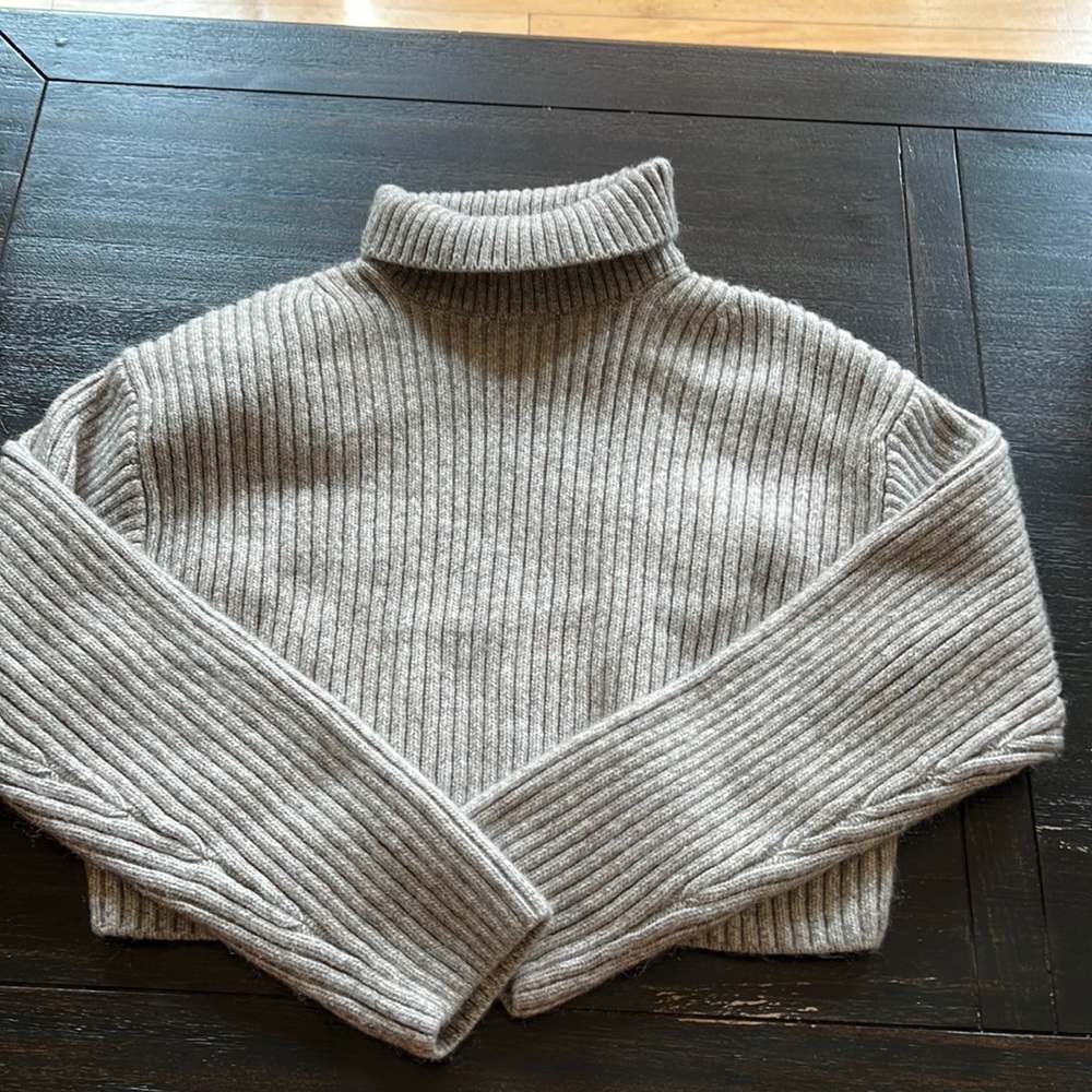 NWOT cropped turtle neck from H&M